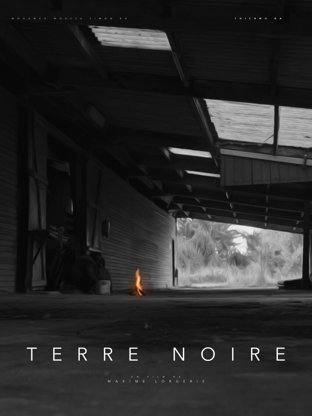 Filmposter for Terre noire